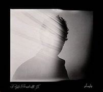 Doyle Bramhall II: Shades